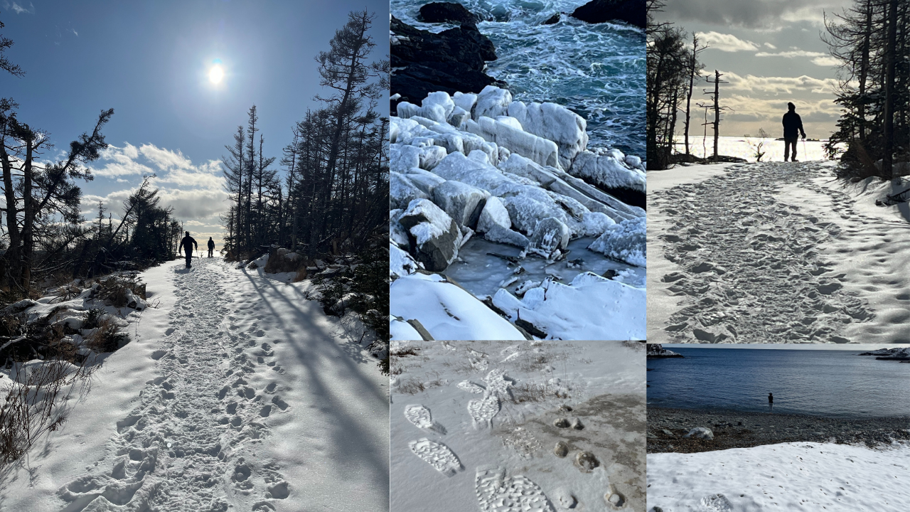 Good News:Louisbourg Lighthouse Trail is Back in 2025 After Hurricane Fiona louisburg blog collage 1