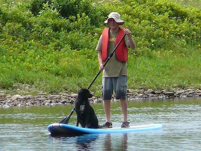 Person on stand up paddleboard with a dog
