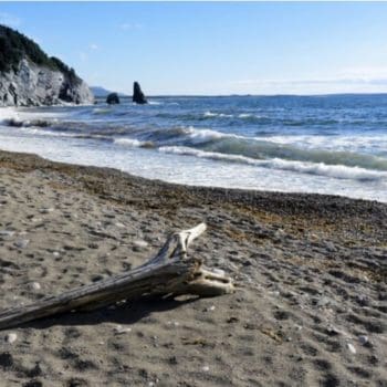 A large piece of driftwood rests upon a wave tattered beach on the coast of Cape Breton Island in Nova Scotia.