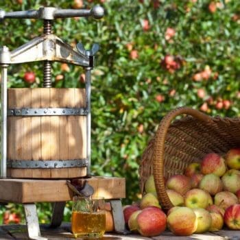 A cider press and a pile of apples amid Cape Breton in fall.