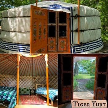 tiger yurt collage