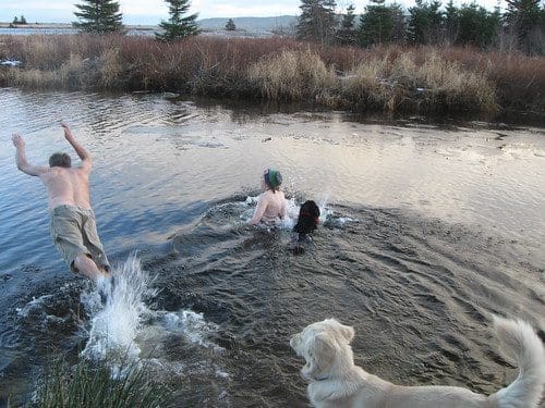 Polar Bear Swim: A group of vacationers swimming in cold water off the shore of Cape Breton Island.