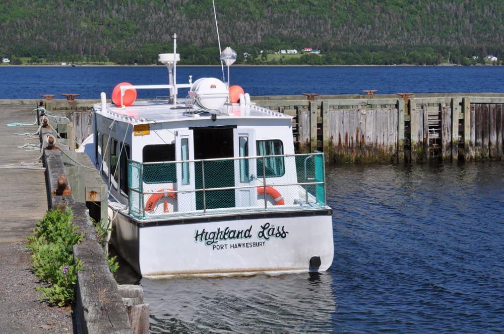 Huffing and Puffin': Visit Bird Island and Puffin Tours Cape Breton puffin tours cape breton