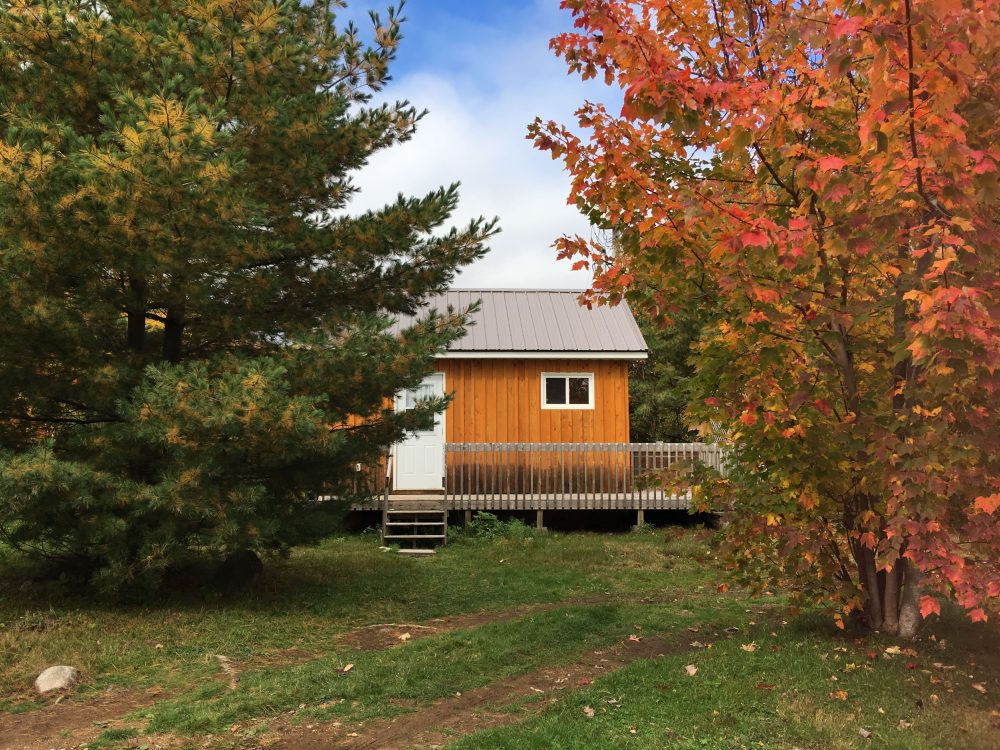 TinyHouse 1 e1782248543163