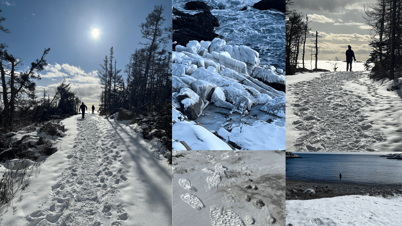 Good News:Louisbourg Lighthouse Trail is Back in 2025 After Hurricane Fiona louisburg blog collage 1