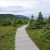 The Best Places to Visit in Cape Breton After the Spring Melt