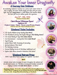 the inner dragonfly poster