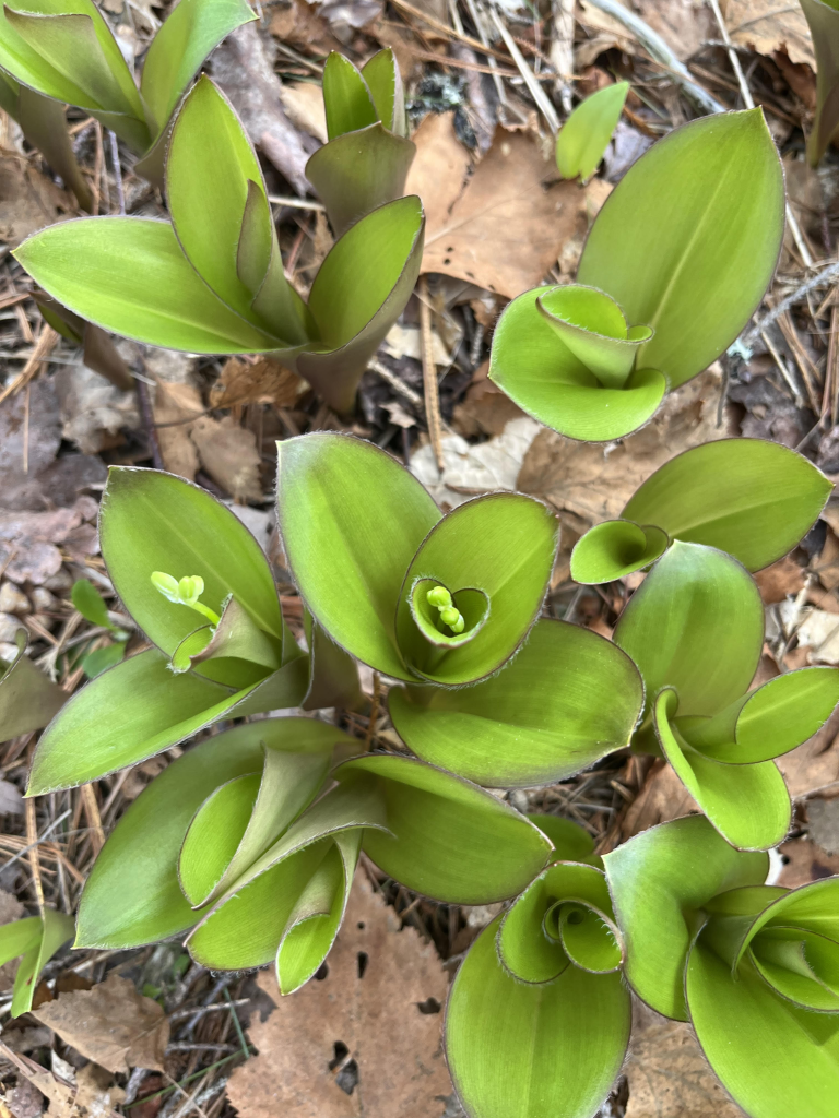 image 14