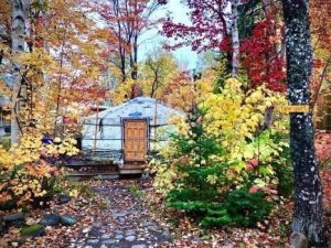 A yurt on Cape Breton surrounded by fall colours.