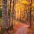 Where to See Fall Colours on Cape Breton