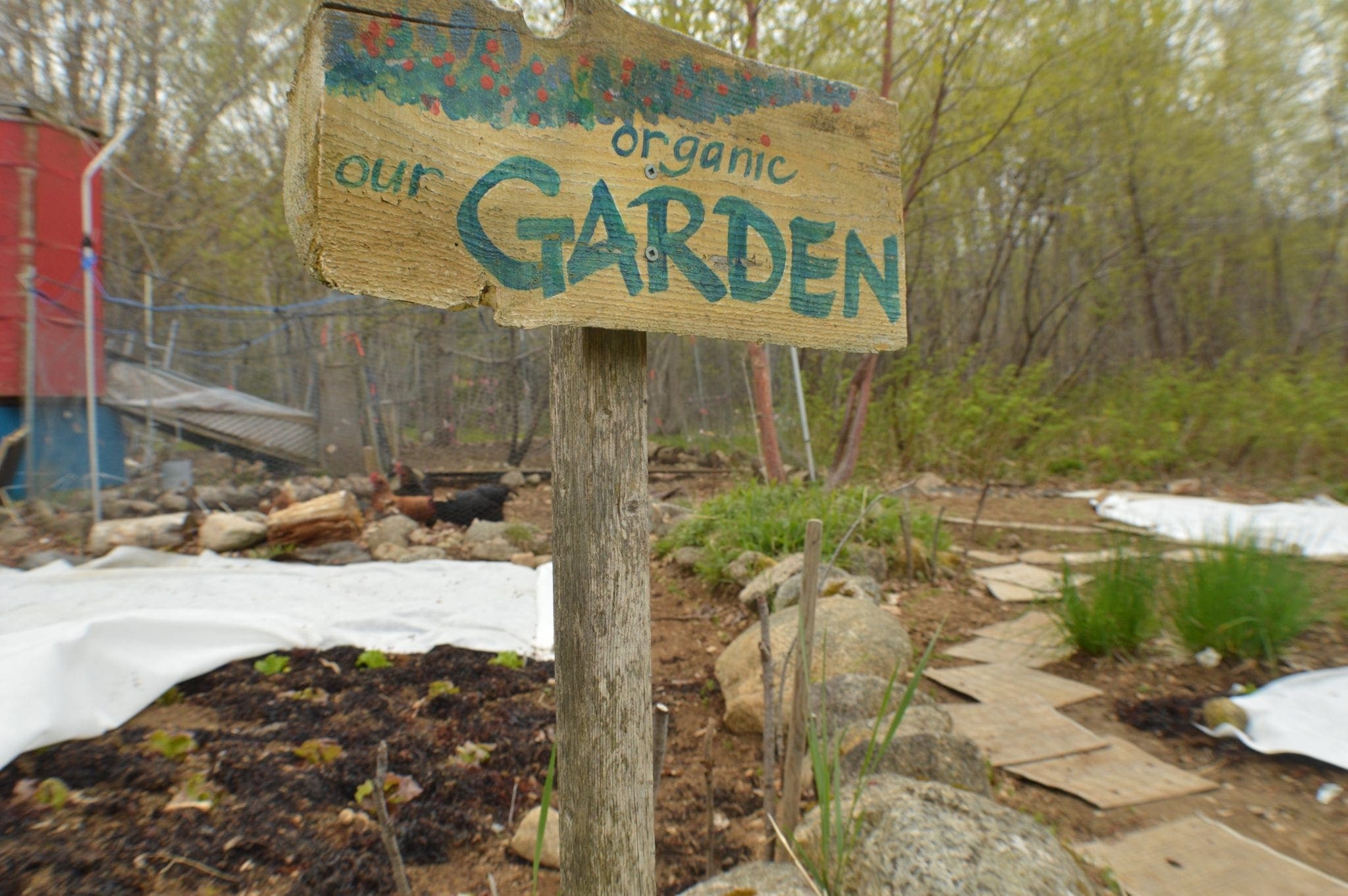 Sign: Our Organic Garden