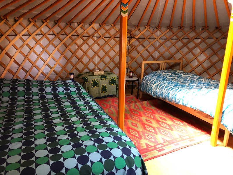 Stay in Large Mongolian Yurts Tiger yurt beds