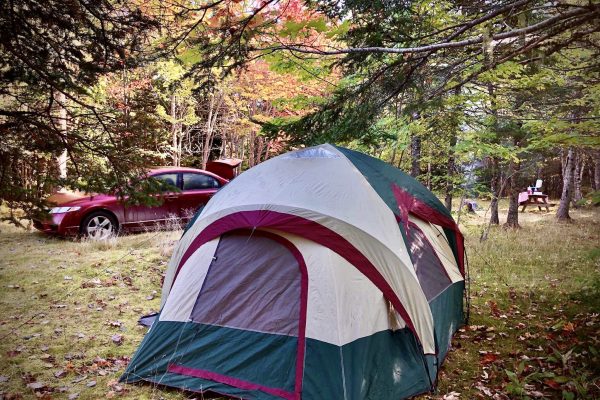 Stay-Camping Camping Tent Fall