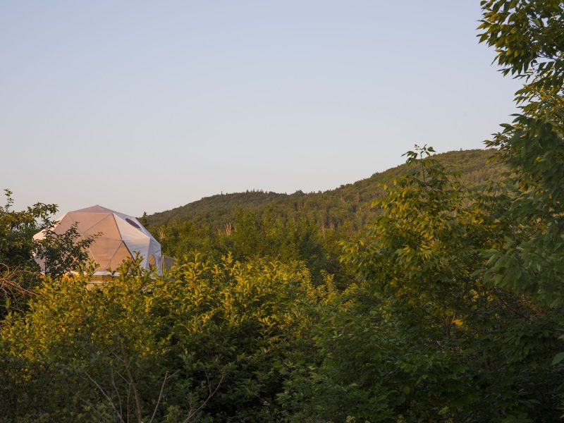 Stay-Domes