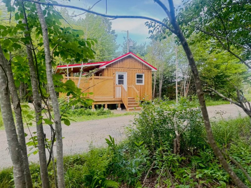 Little Red Chalet Exterior Front in woods